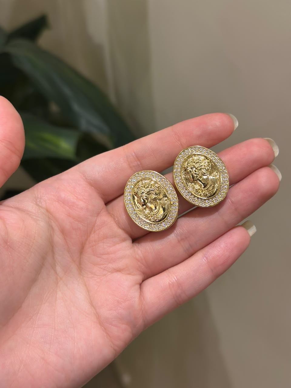 Earrings
